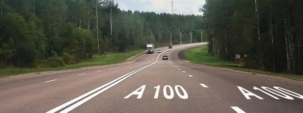 Иллюстрация к вопросу: Что обозначает разметка А100, нанесенная на проезжую часть дороги?
